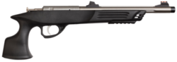 Crickett Adult Frame 22 WMR Single Shot 9" Threaded Stainless Steel Barrel, Black Polymer Frame