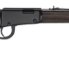 Henry H1 Garden Gun 22 LR, 18.5" Barrel,rd Blued, Smooth Bore Barrel, Rustic Black Ash Stock, Semi-Buckhorn Rear, Hooded Blade Front Sight, 12rd
