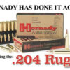 Hornady V-Max 204 Ruger V-Max 32gr, 20Box/10Case