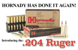 Hornady V-Max 204 Ruger V-Max 32gr, 20Box/10Case