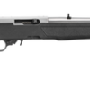 Ruger 10/22, 22 LR, 18.5" SS Barrel & Receiver, Black Stock, Adj Rear, Gold Front, 10rd