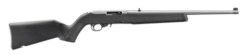 Ruger 10/22, 22 LR, 18.5" SS Barrel & Receiver, Black Stock, Adj Rear, Gold Front, 10rd