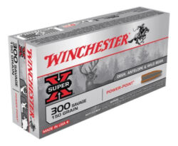 Winchester Super X 300 Savage Power-Point 150gr, 20rd Box