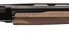 Winchester SXP High Grade 20 Ga, 3" Chamber 26" Barrel, Black Rec, Walnut Furniture, 5rd